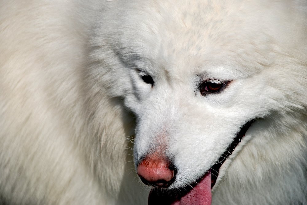 Photograph by Gordana Nikolovska-Dimeska