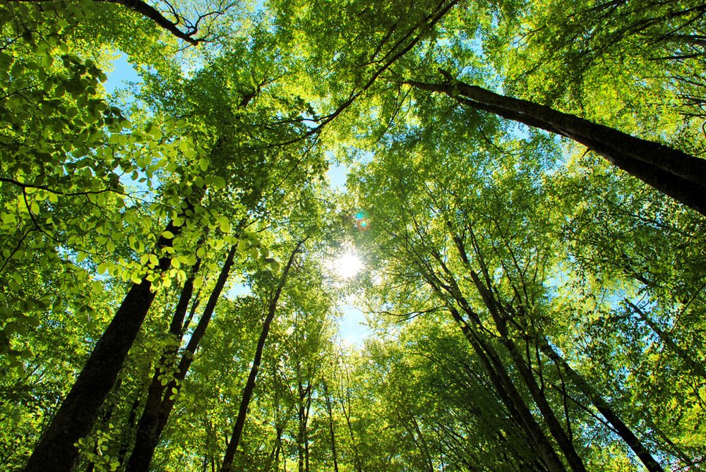 Photograph by Gordana Nikolovska-Dimeska