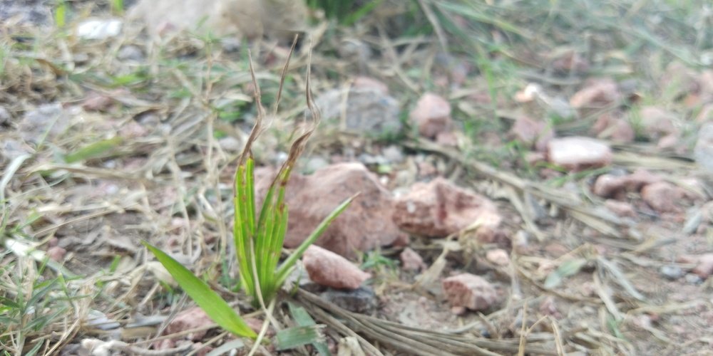 Photo #3744538