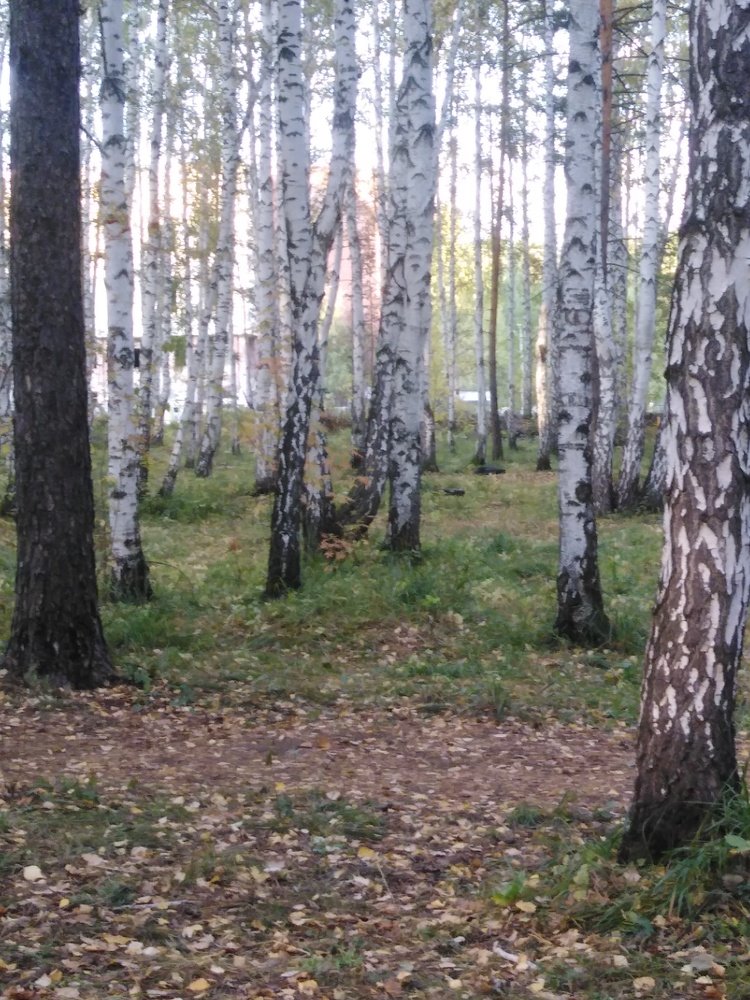 Photo #3744539