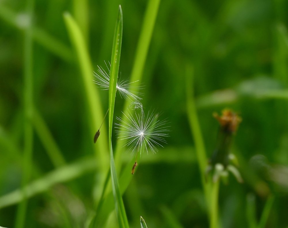 Photograph by Наталья