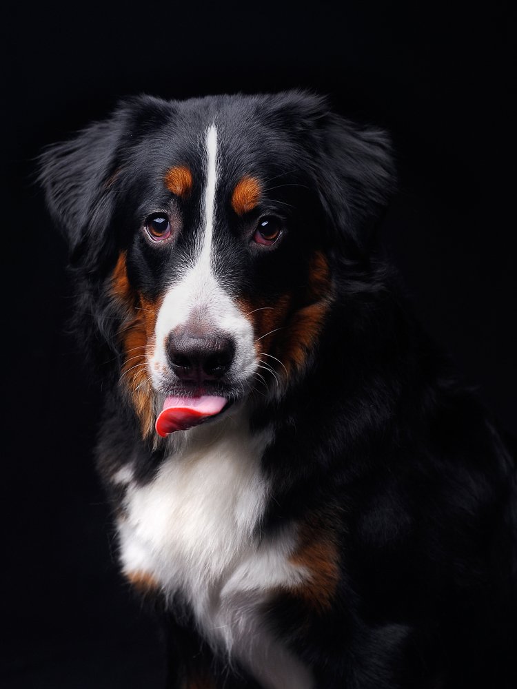 Photograph by Svet Lana