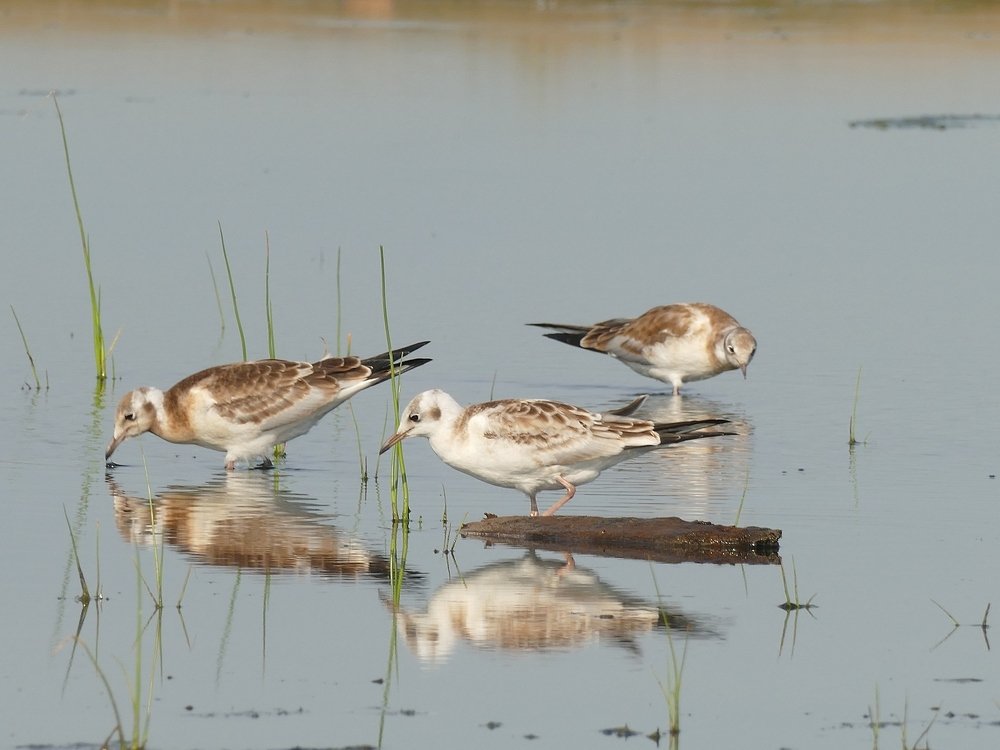 Photograph by Наталья