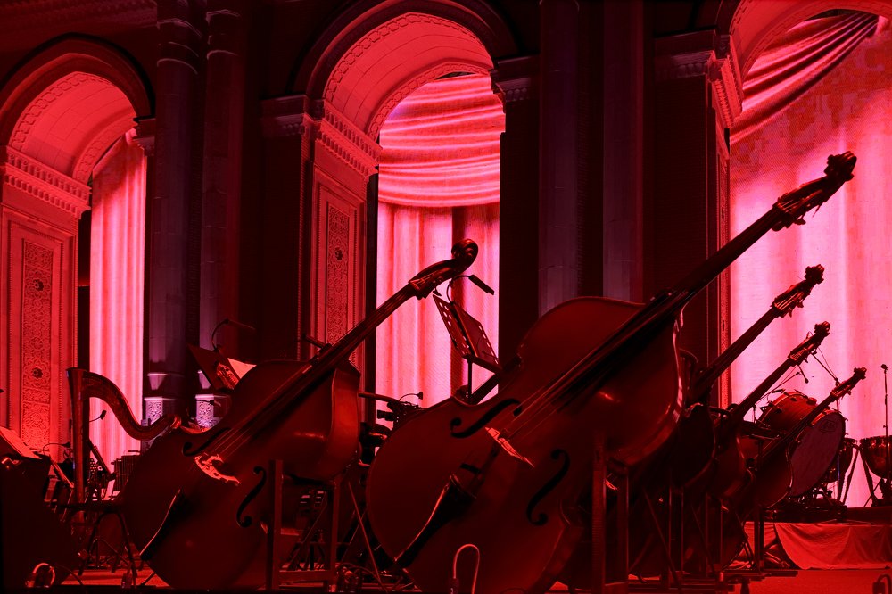 Photograph by Чунина Наталья