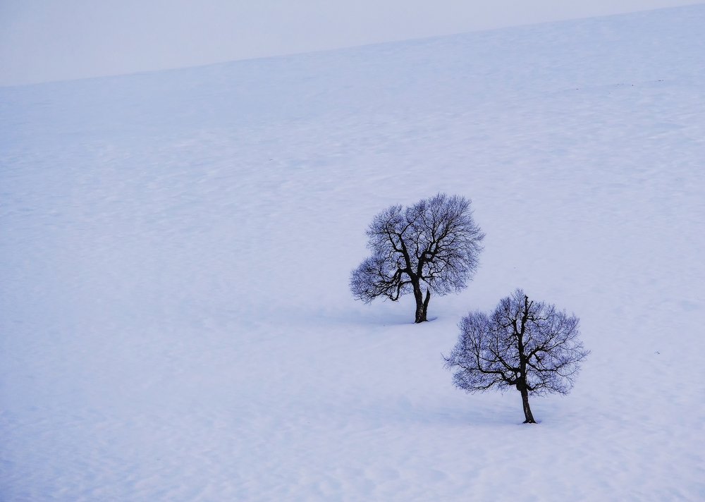 Photograph by Олеся Федосеенкова
