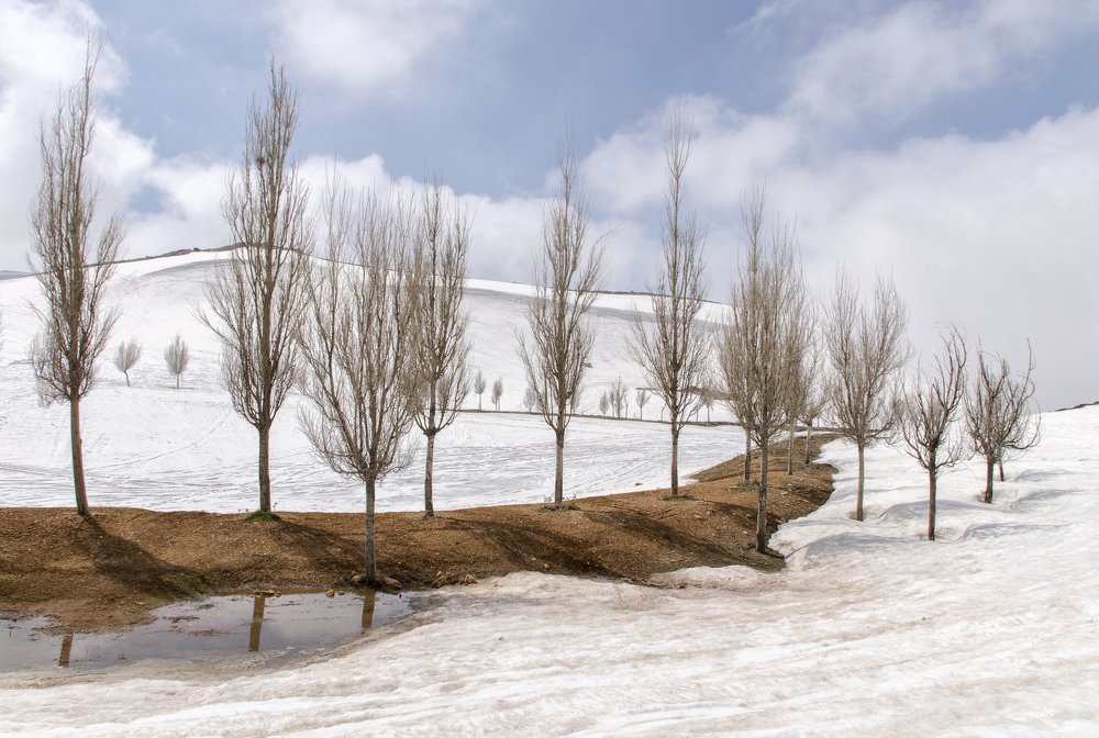 Фотография автора Sherine El Mously