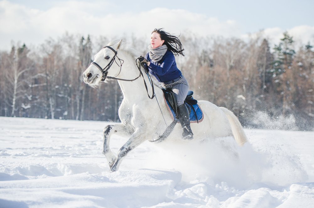 Фотография автора Ольга Руднева