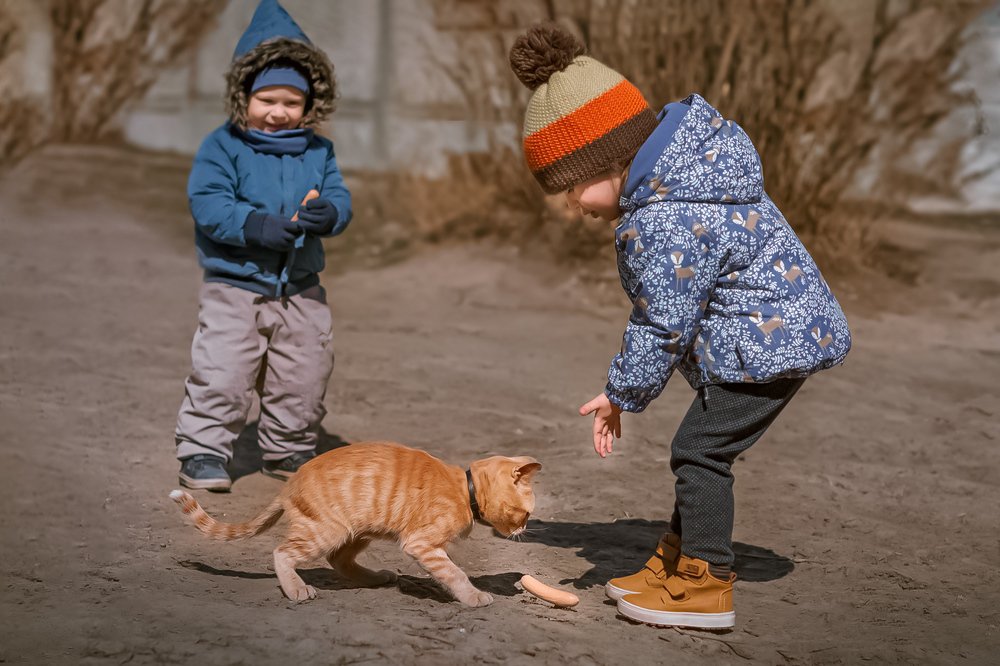 Фотография автора Елена Баклач
