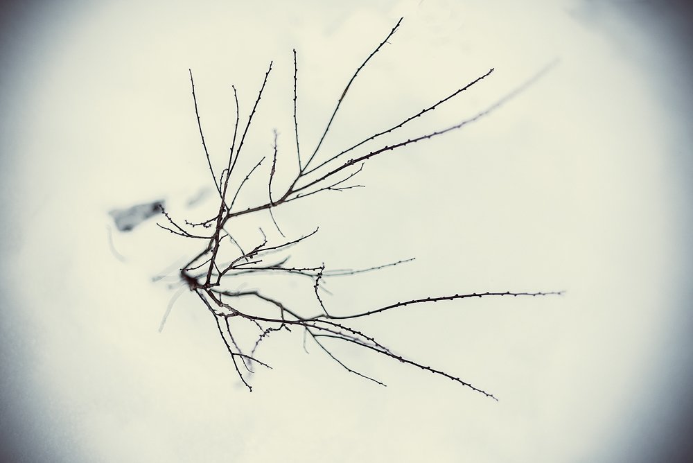 Photograph by Кирилл Огинов