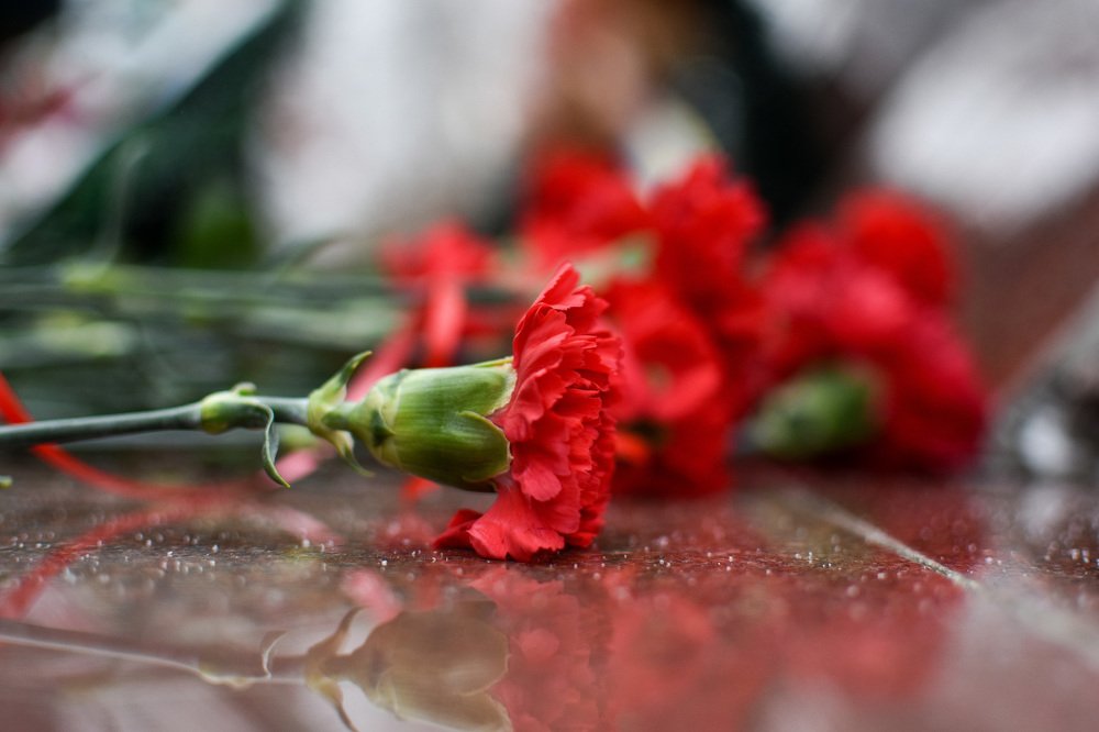 Photograph by Александр Мольков