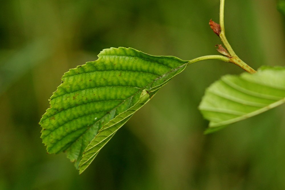 Фотография автора Геннадий Титов