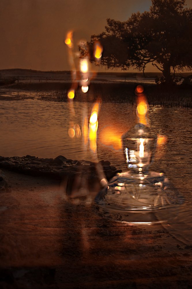 Still and Mangrove Beach
