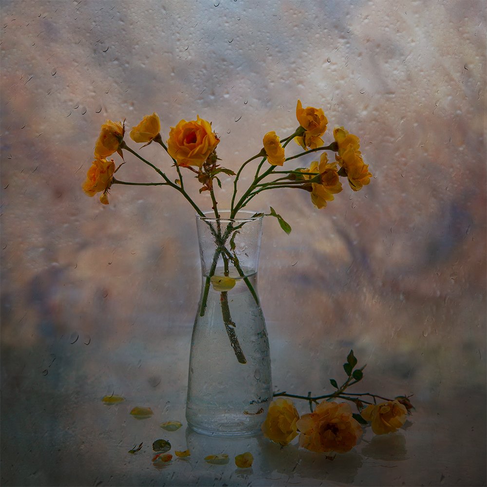 Осенние розы