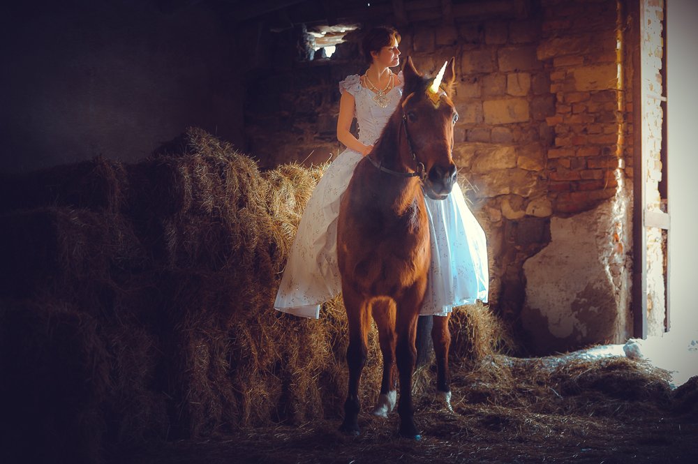 Фотография автора Ольга Руднева