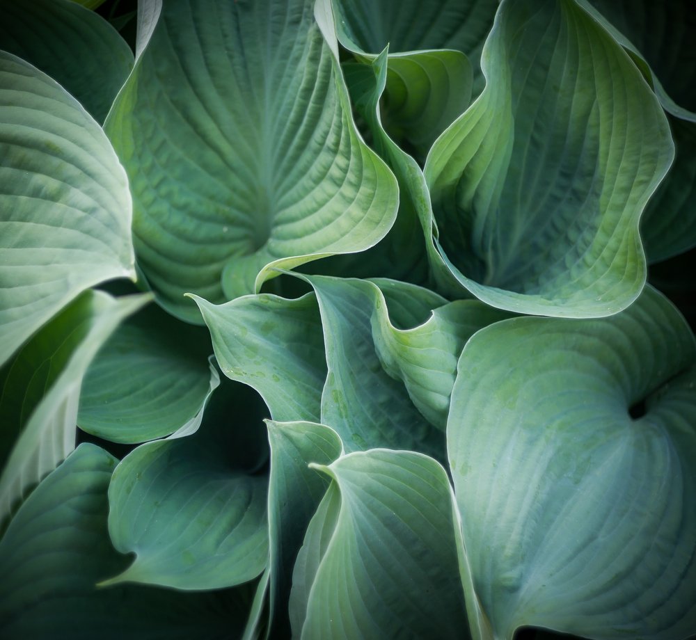 Фотография автора Ольга Руднева