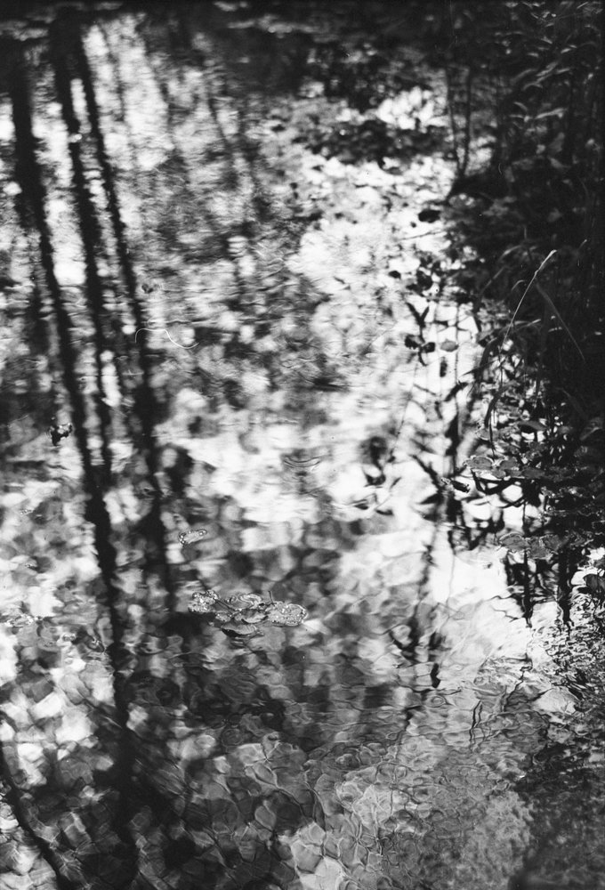 Photograph by Алексей Егоров