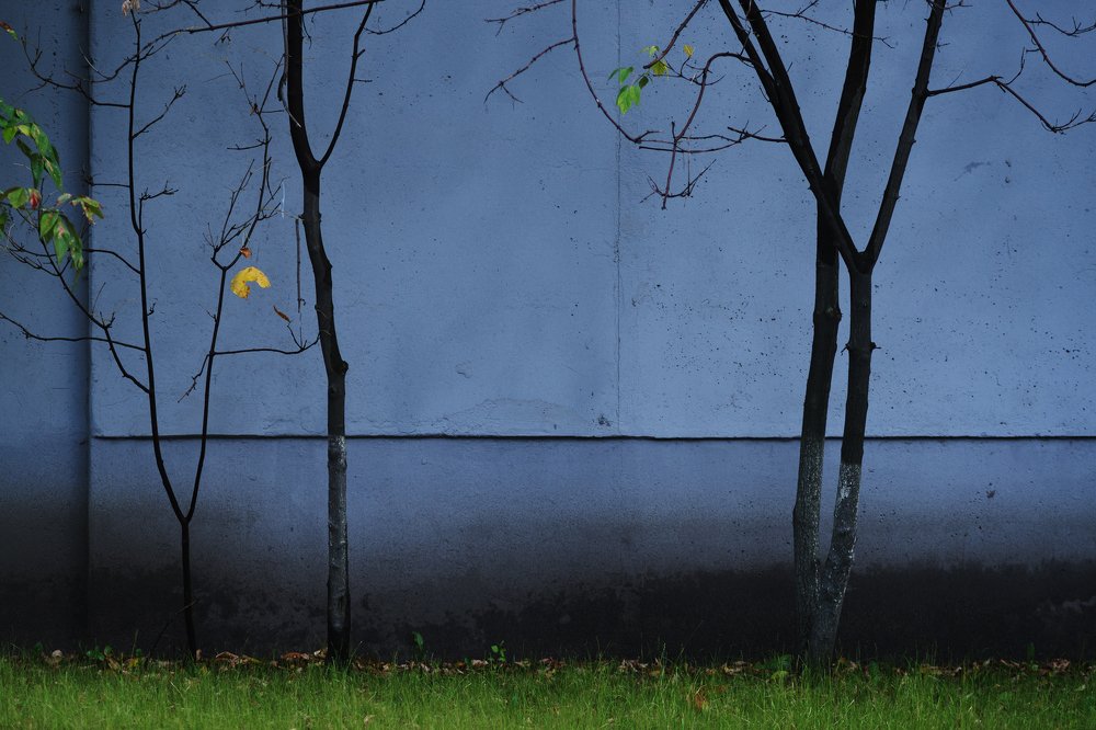 Photograph by Алексей Егоров