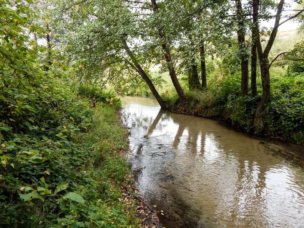 Река детства.