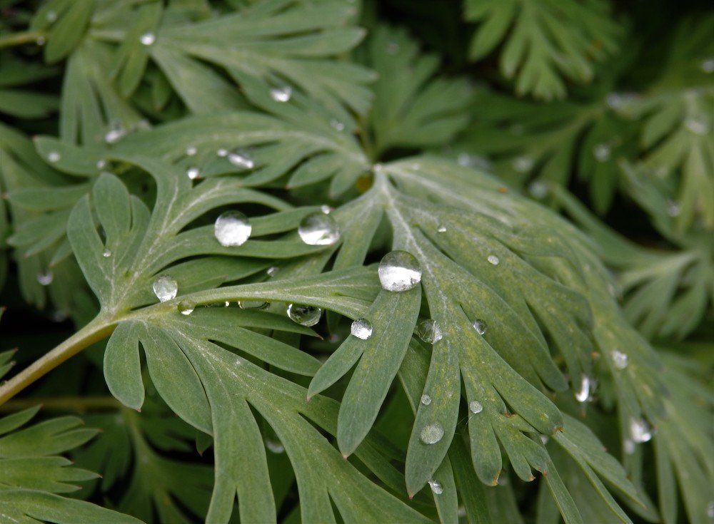 Фотография автора Tiia Vissak