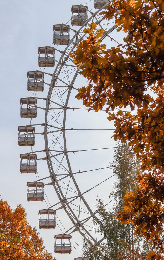 Photograph by Полина Голованова