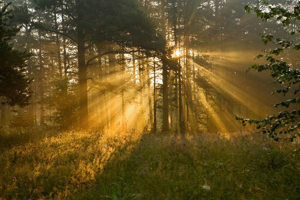 Карельские сказки