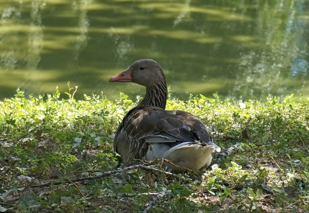 Фотография автора Валентина Гундарева
