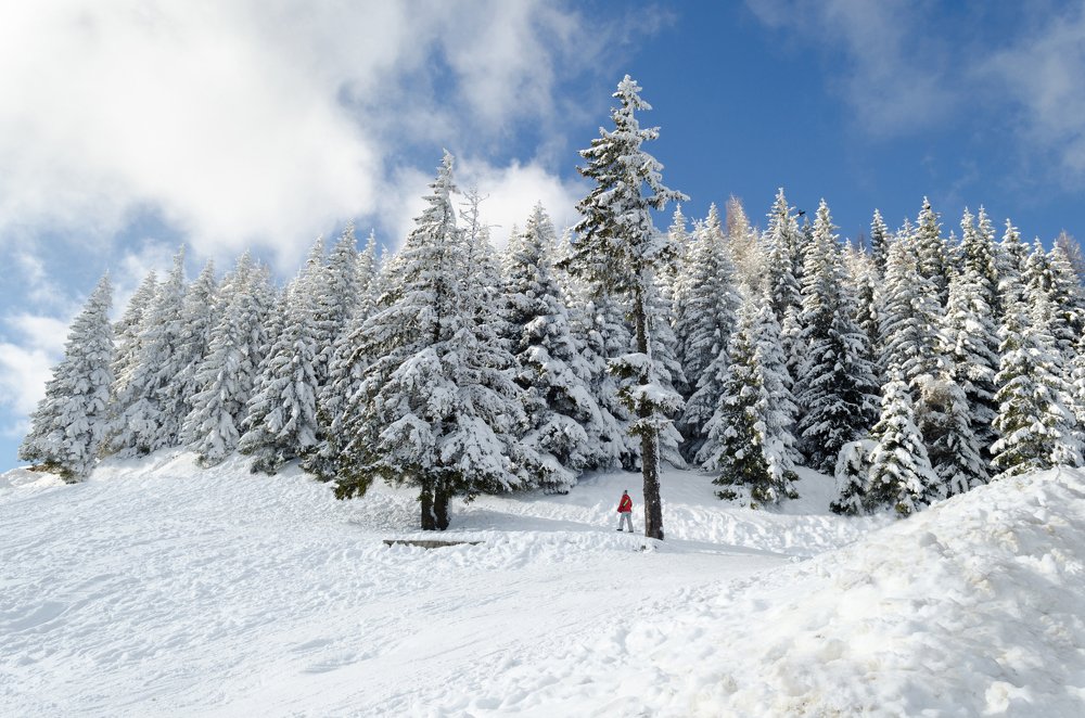 Photograph by Cosmin Andrei