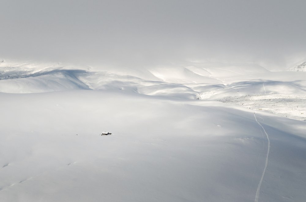 Photograph by Cosmin Andrei