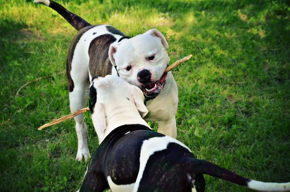 Photograph by Ира Балакова