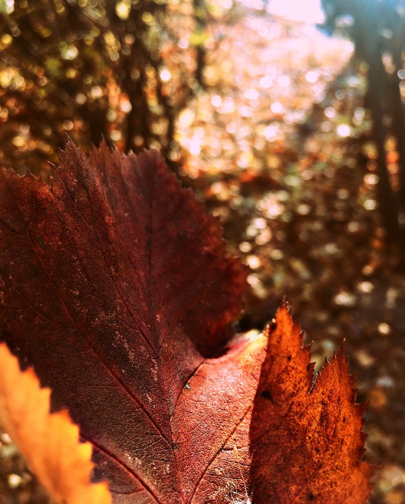 Photograph by Ира Балакова