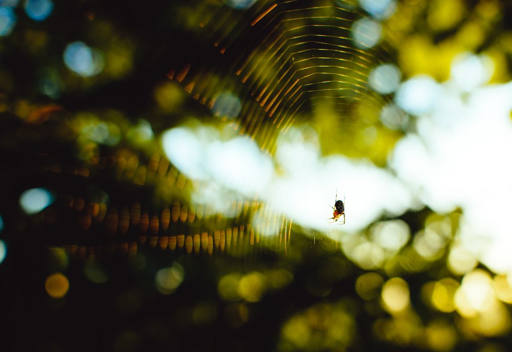 Photograph by Белоусов Тёма