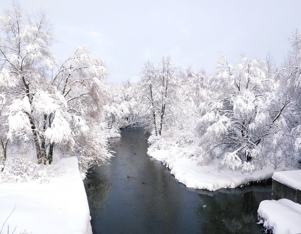 Photo #3745504