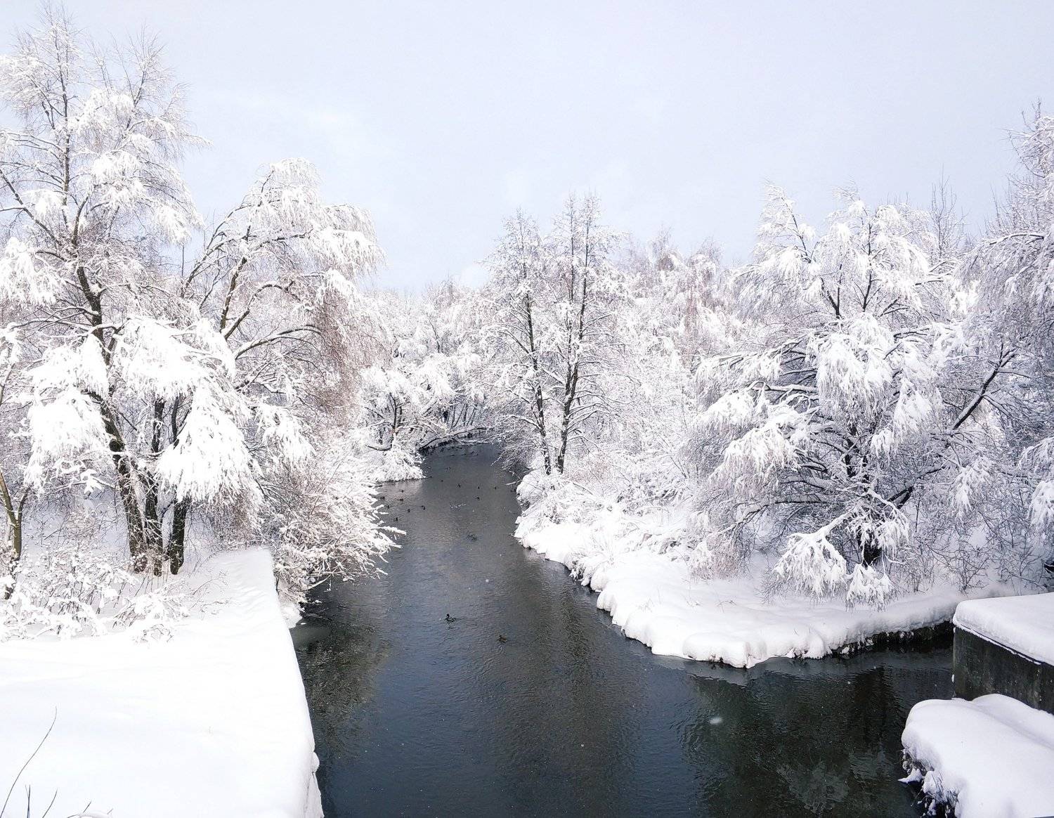 Photo #3745504