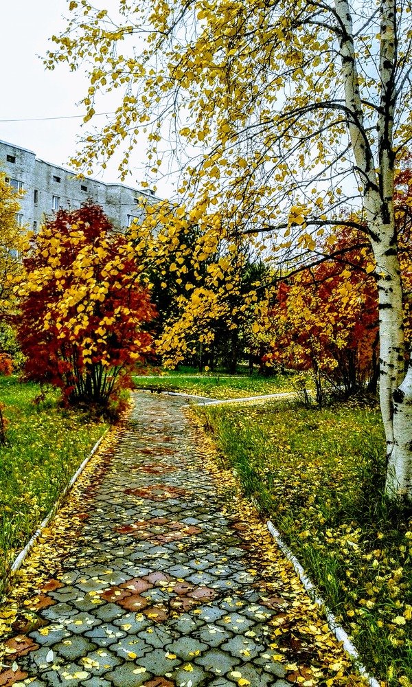 Краски осени.