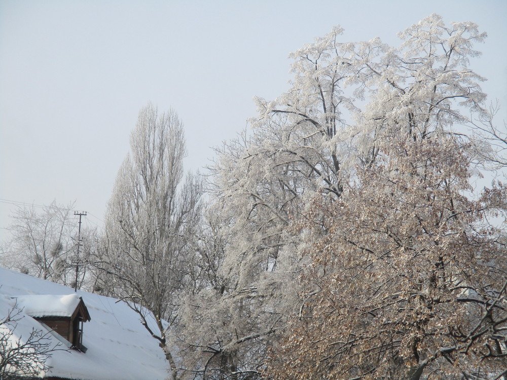 Photograph by Елена Куннова