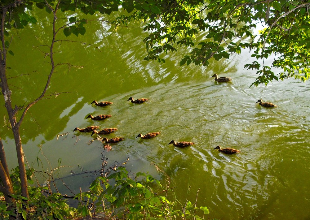 Photograph by Елена Куннова