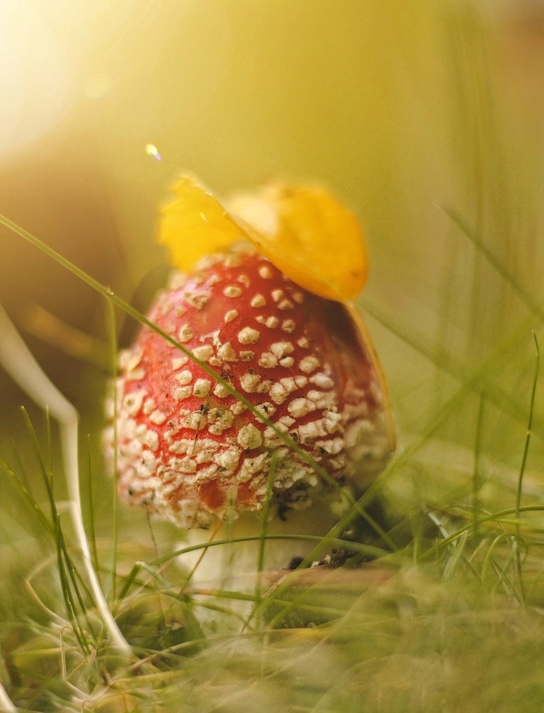 Photograph by Динара Вальчук