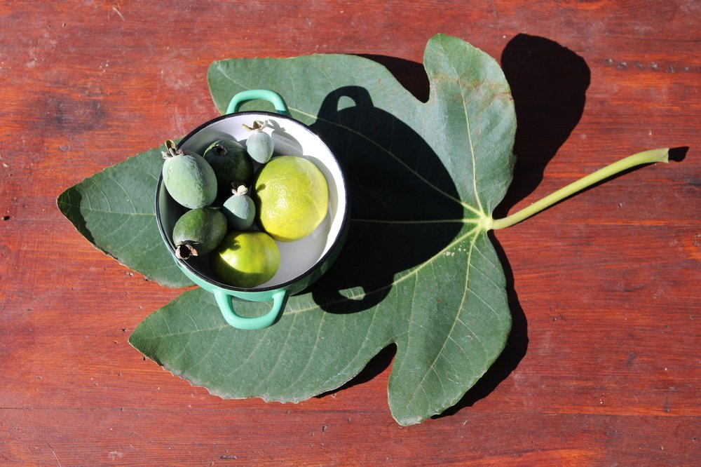 Photograph by Николай Немчанинов