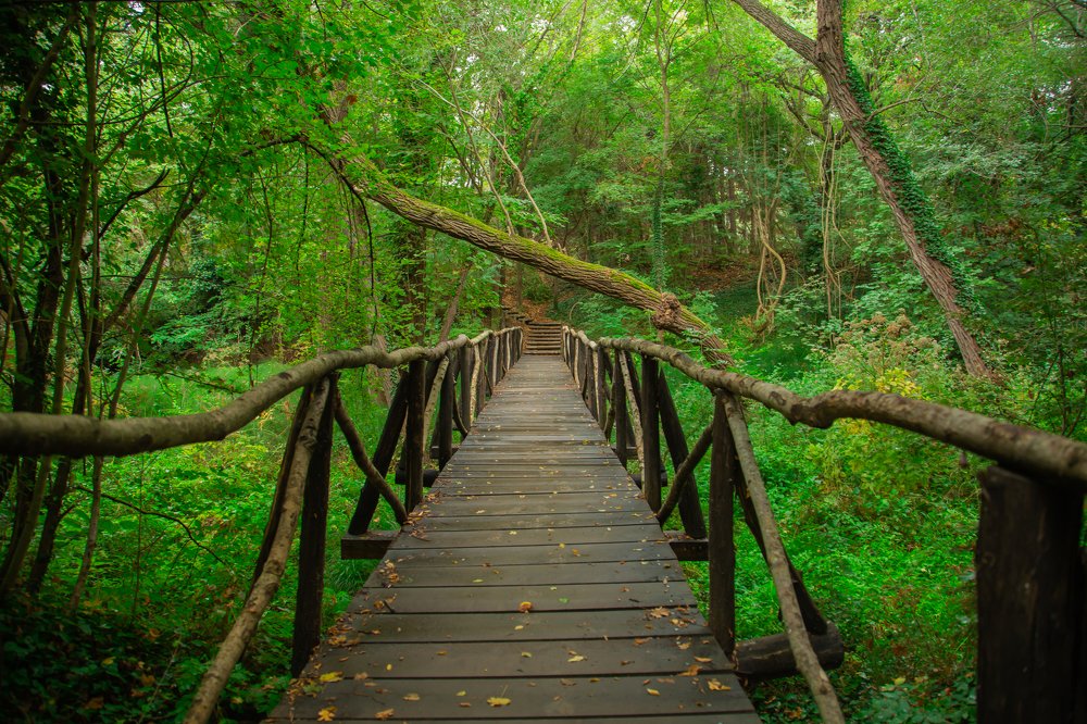 Photograph by Наталья Золотарева