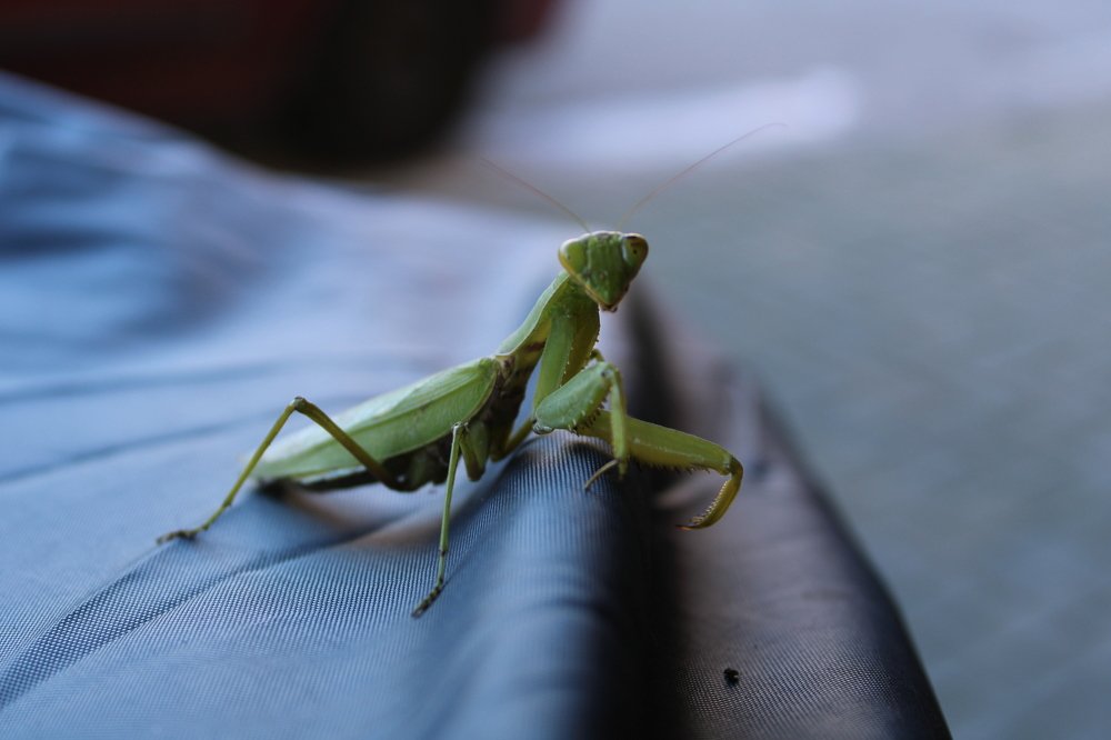 Photograph by Николай Немчанинов