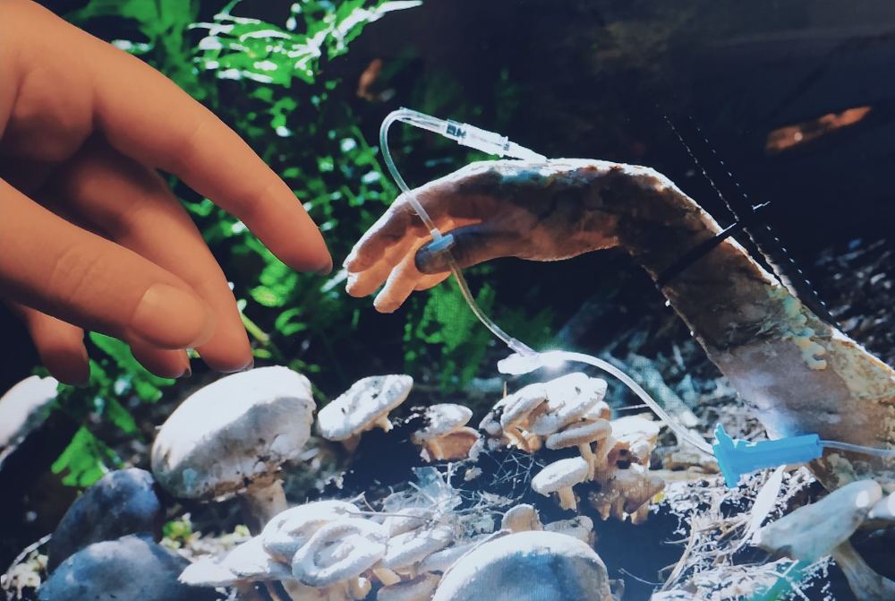 Photograph by Вероника Косян