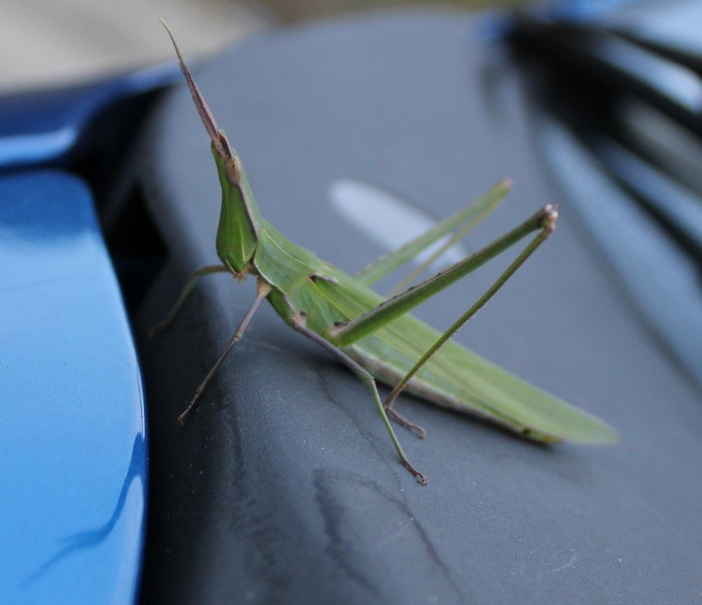 Photograph by Николай Немчанинов