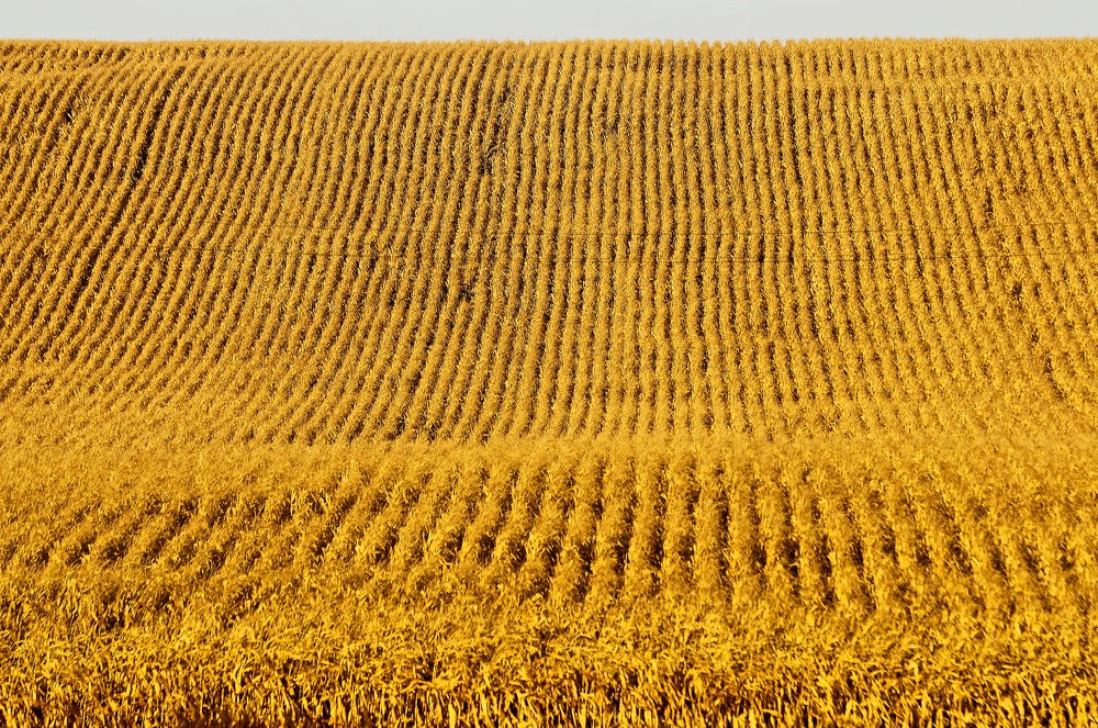 Фотография автора Антип