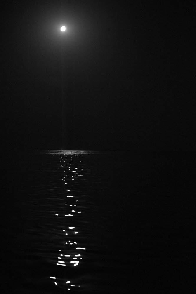 Лунная дорожка