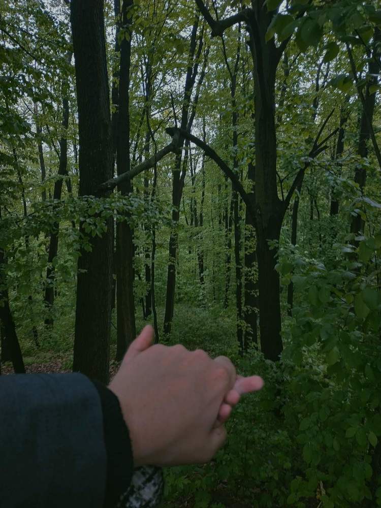 Photograph by Вероника Косян