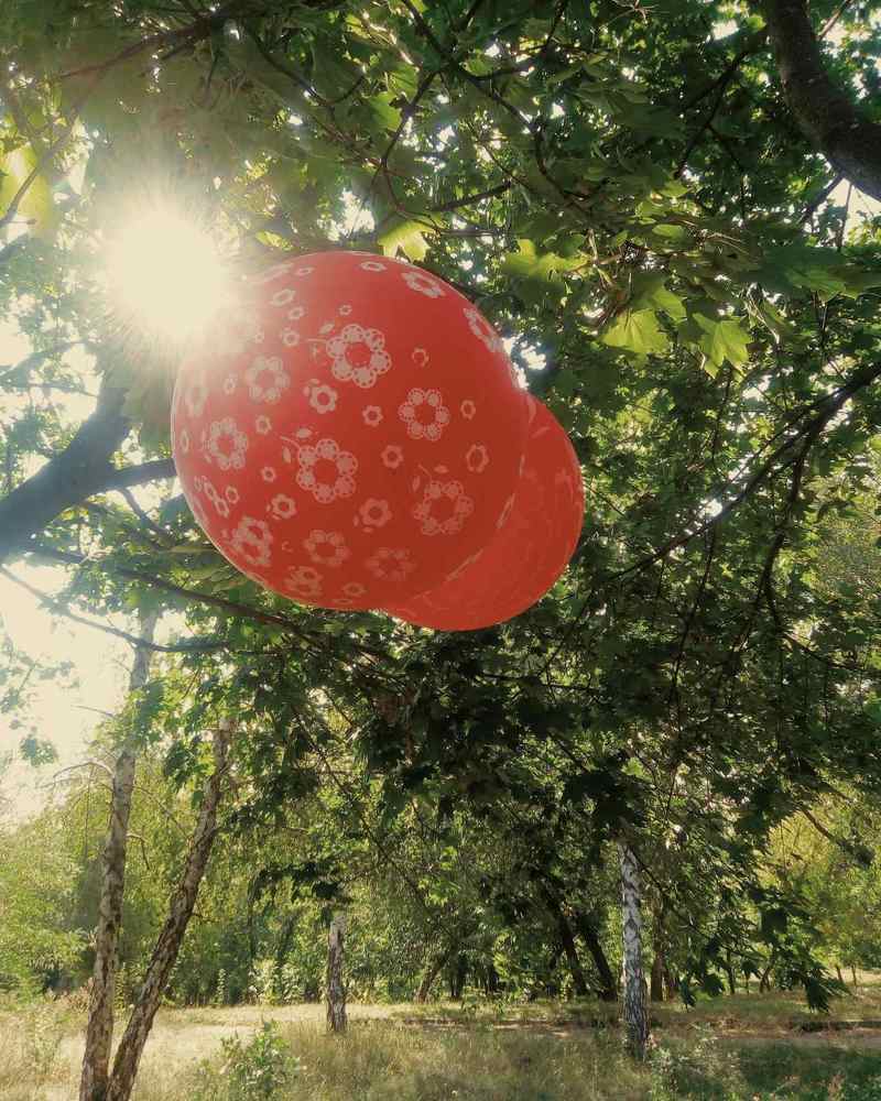 Photograph by Вероника Косян