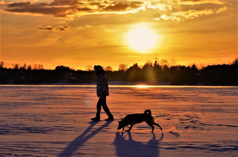 Photograph by Екатерина Апрелева