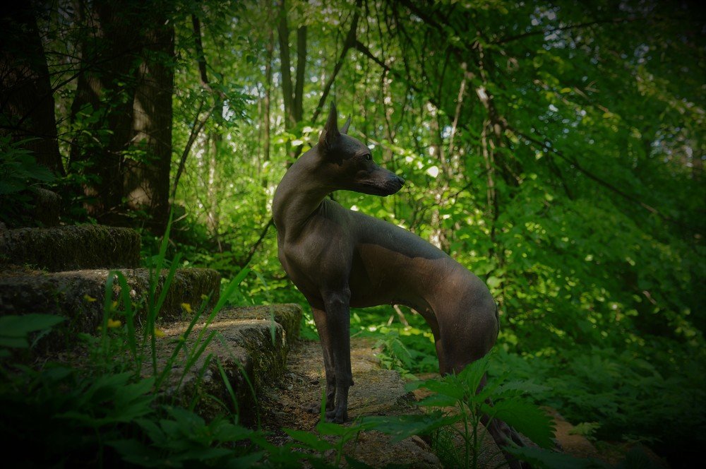 Photograph by Антонина Копытина