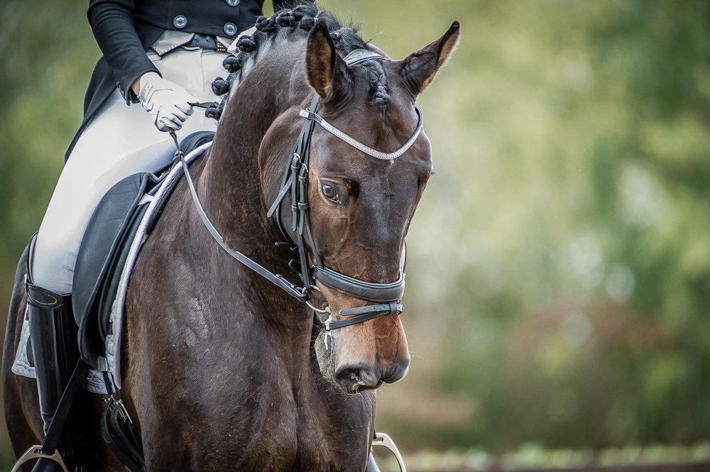 Фотография автора Ольга Руднева