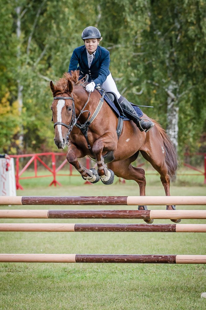 Фотография автора Ольга Руднева